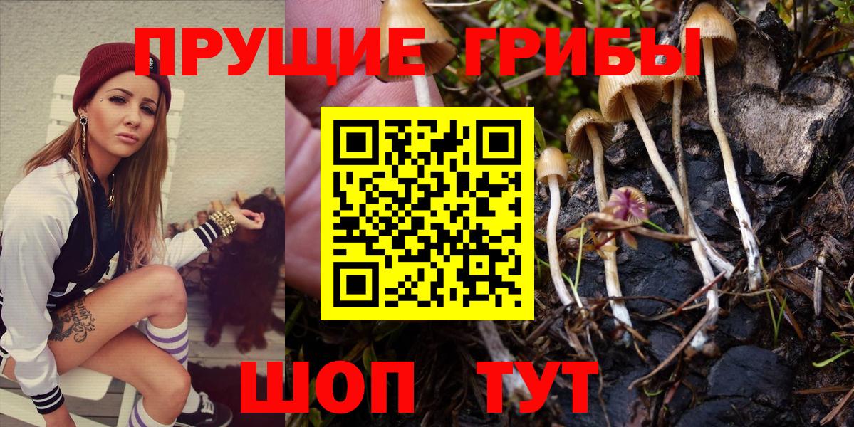 Псилоцибиновые грибы ЛСД Якутск